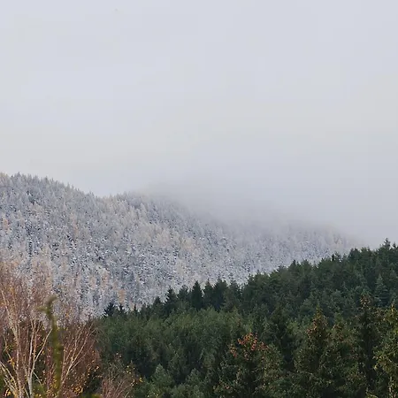公寓 Panorama